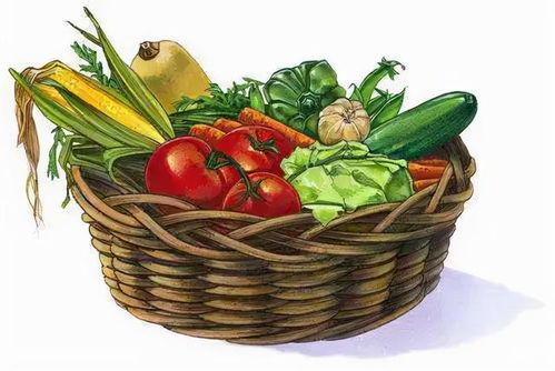 節前走訪菜市場 貨源充足價格穩，新春苗木添綠意