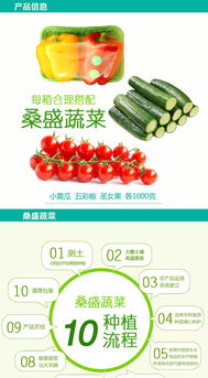 桑盛蔬菜特惠套餐 壽光特產，綠色健康的家庭餐桌新選擇