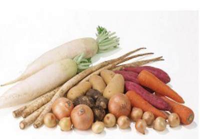 蔬菜的抗癌功效 守護健康的天然衛士